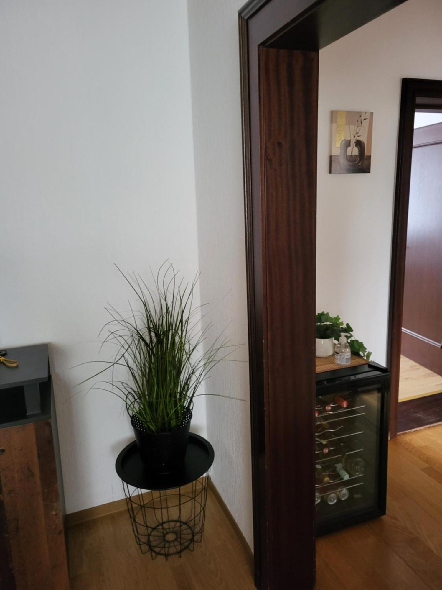 Gemuetliches Wohnen In Frauenkirchen Im Burgenland Apartment Exterior foto
